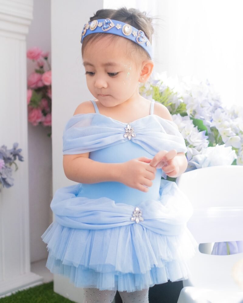 Cinderella Inspired